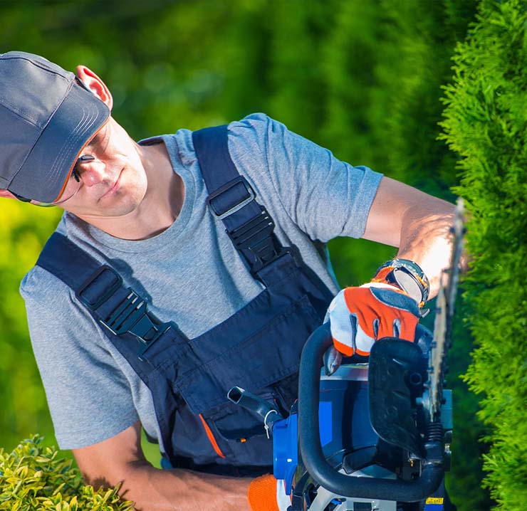 Çtn Garden | Bakım ve Uygulama