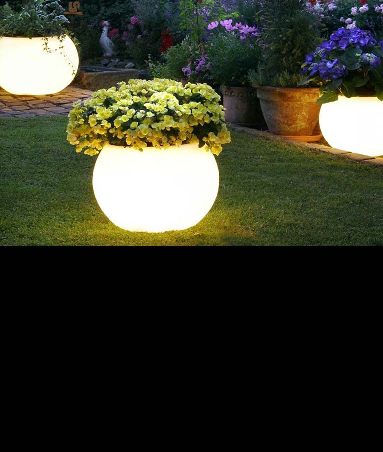 Çtn Garden | Bakım ve Uygulama